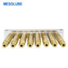 D200-8P20P20P20 Single-line Grease Distributor - Image 3